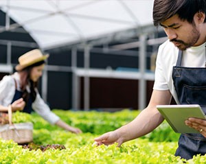 Strengthening Indonesia's Food Security with Digital Agriculture