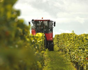 What’s Driving Global Agriculture in 2025?