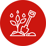 Seed, Seed Cultivation Equipment & Technology