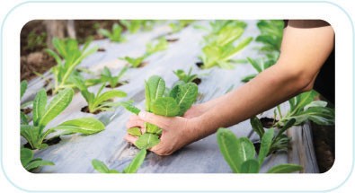 Networking-and-Partnerships